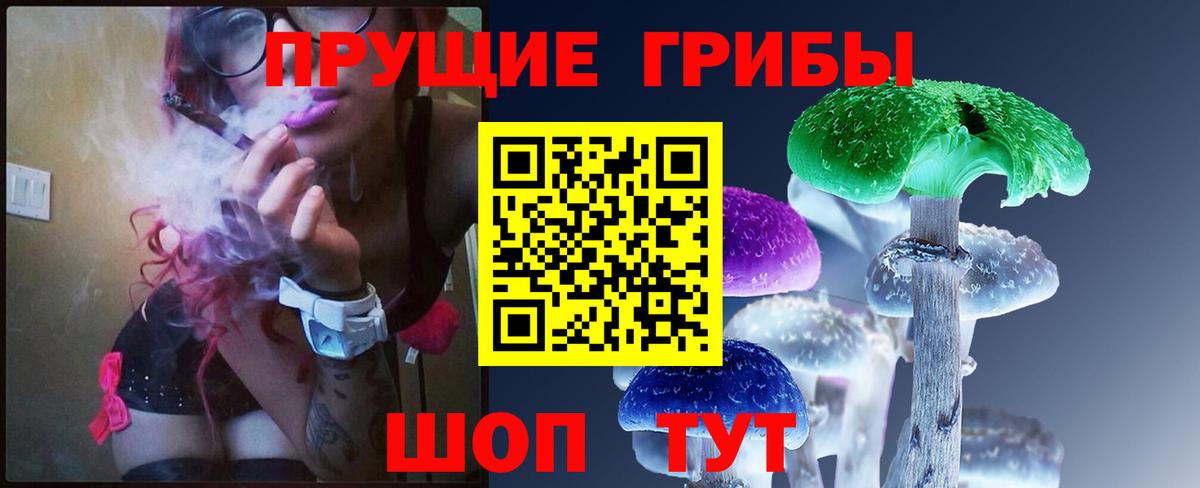 Мелеуз  Галлюциногенные грибы Psilocybe  Вход с VPN 